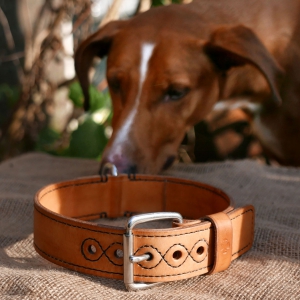 Hondenhalsband, Uniek handgemaakte Halsband, functioneel en mooi - iDOON, Paulus, leer en canvas