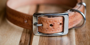 Halsband Hond, Unieke handgemaakte leren halsband, functioneel en mooi - iDOON, Paulus, leer en canvas, leerbewerker